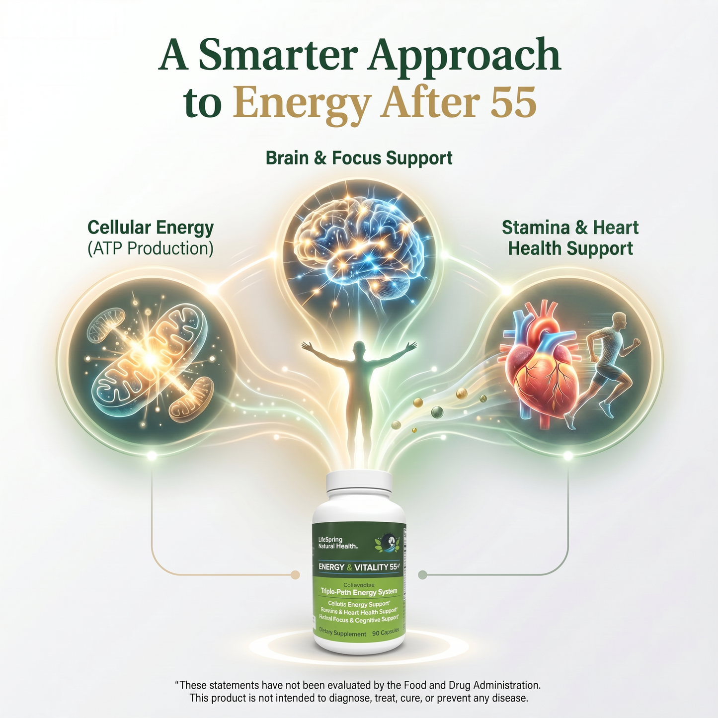 Energy & Vitality 55+
